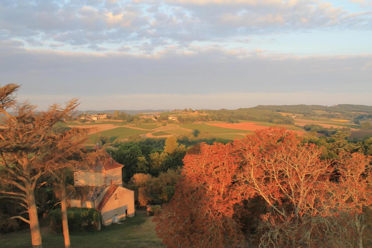Chateau De Tauzies, The Originals Relais Gaillac Ngoại thất bức ảnh
